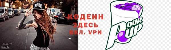 СК Каменногорск