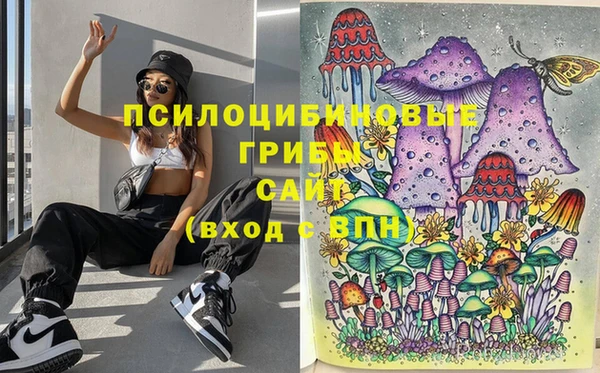 СК Каменногорск