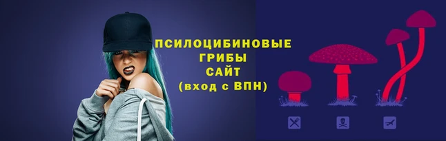 стафф Каменка