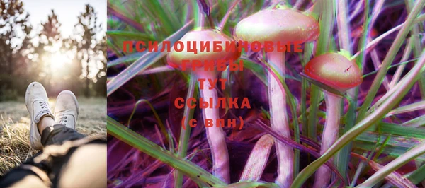 мескалин Инсар