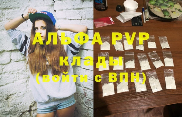 стафф Каменка