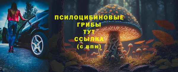 СК Каменногорск
