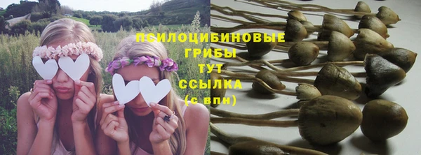 стафф Каменка