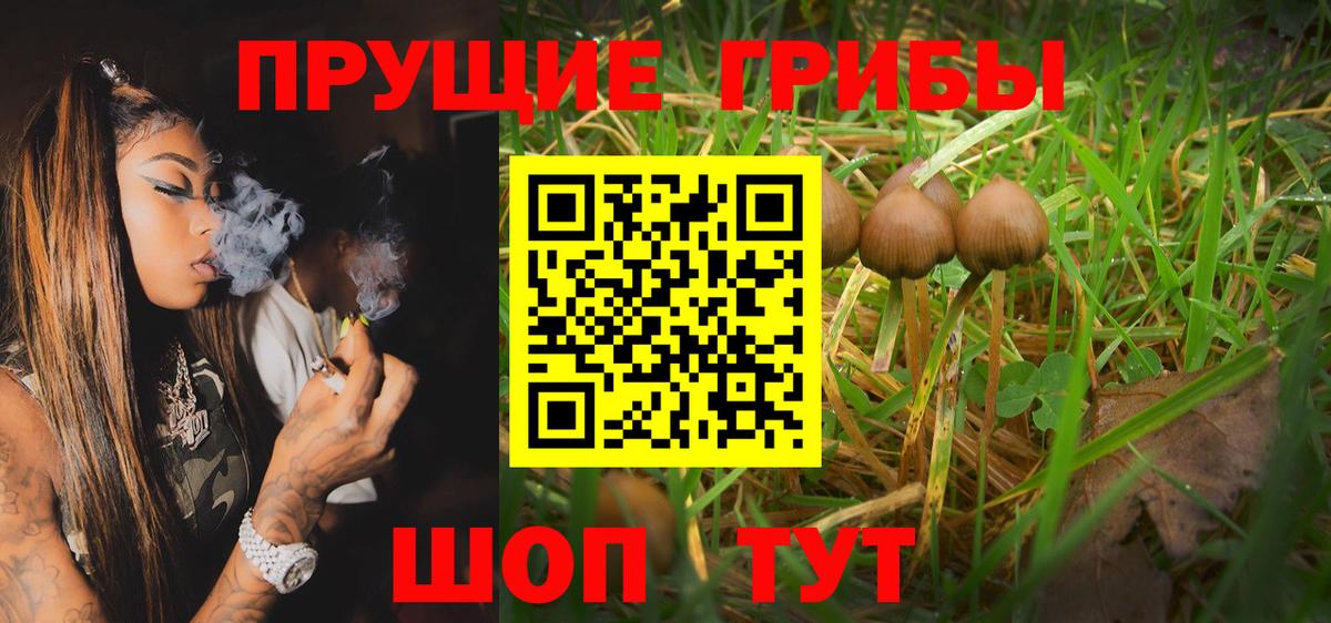 Галлюциногенные грибы GOLDEN TEACHER Туапсе