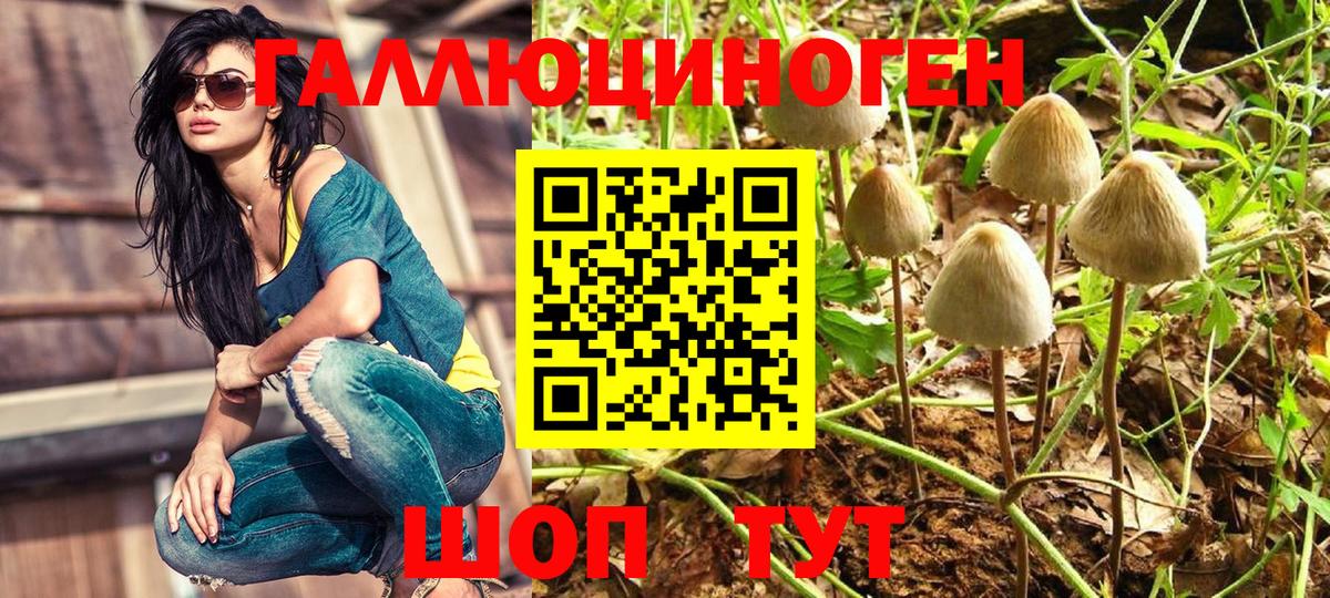 Псилоцибиновые грибы Magic Shrooms  Галлюциногенные грибы Cubensis  Туапсе  Вход с VPN 